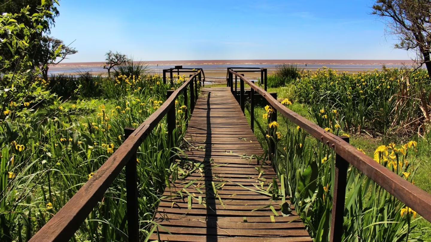 punta indio